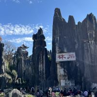 評論圖片 1