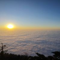 評論圖片 5