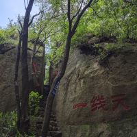 評論圖片 3