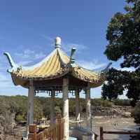 評論圖片 3