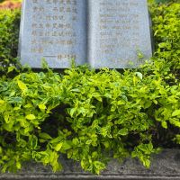 評論圖片 7