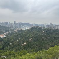 評論圖片 4