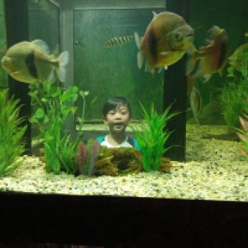 評論圖片 2
