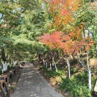 評論圖片 5