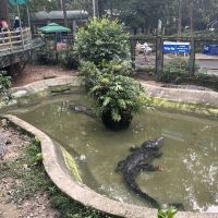 評論圖片 5