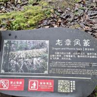 評論圖片 2