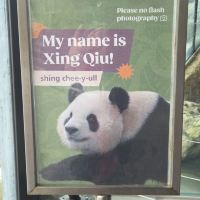 評論圖片 3