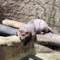 評論圖片 5
