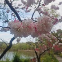 評論圖片 3