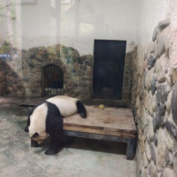 評論圖片 6