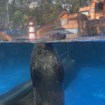 評論圖片 7