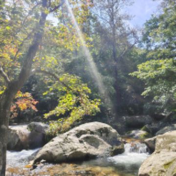 評論圖片 5
