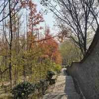 評論圖片 8
