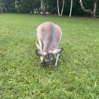 評論圖片 2