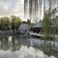 評論圖片 2