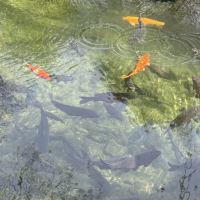 評論圖片 6