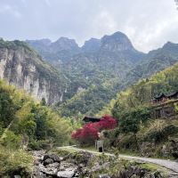 評論圖片 9
