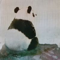 評論圖片 3