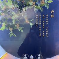 評論圖片 1