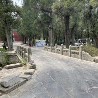 評論圖片 5