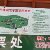 評論圖片 6