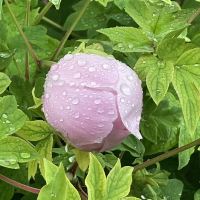 評論圖片 9