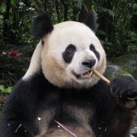 評論圖片 4