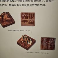 評論圖片 9