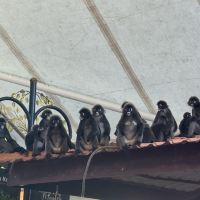評論圖片 5