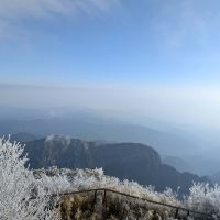 評論圖片 7
