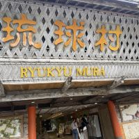 評論圖片 4