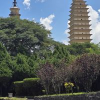 評論圖片 1