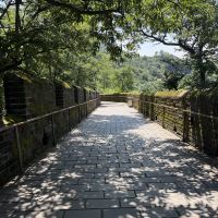 評論圖片 5