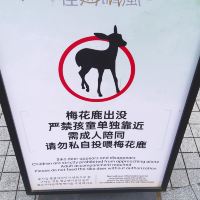 評論圖片 3