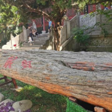 評論圖片 4