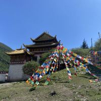 評論圖片 3