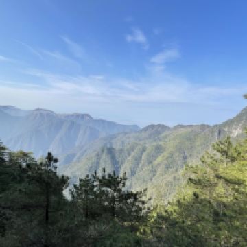 評論圖片 5