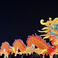 評論圖片 3