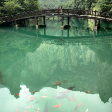 評論圖片 2