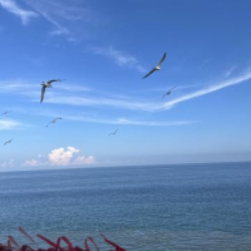 評論圖片 6