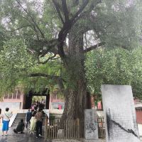 評論圖片 3
