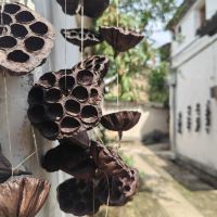 評論圖片 4