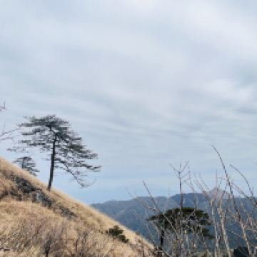 評論圖片 1