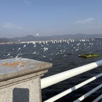 評論圖片 2