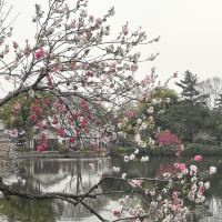評論圖片 5