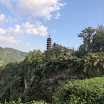 評論圖片 2