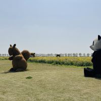 評論圖片 3