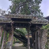 評論圖片 7