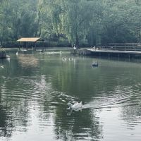 評論圖片 9