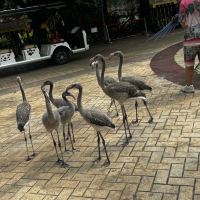 評論圖片 8
